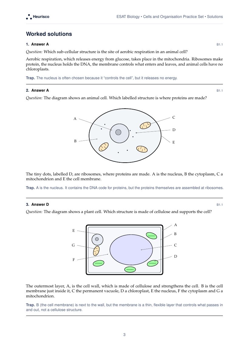 Page 3 of the worked solutions for ESAT Biology: Cells and organisation: the answer, a step-by-step solution and the trap for each question.